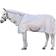 Horseware Amigo Integrated Flysheet Flugtäcke - Silver/Titanium Grey