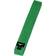 Mizuno Judo Belt Vert
