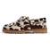 Pavement Alvina Pony - Brown Combo