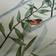 Dorma Forest 100% Cotton Set Duvet Cover Green (200x200cm)