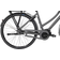 Raleigh Sussex E2 Dame Matgrå
