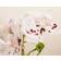 Scottish Everlastings White Speckled Orchid Artificial Plant
