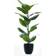 Scottish Everlastings Real Touch Rubber Tree Artificial Plant