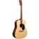 Martin Guitars D-X2E