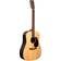 Martin Guitars D-X2E