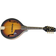 Epiphone MM-30S
