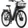 Ecoride Ambassador 4 Hub Skivbroms Svart L