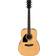 Ibanez Performance Series Pf15 Left-Handed Dreadnought Acoustic Guitar Natural