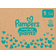 Pampers Baby Dry Pants Junior Size 5 11-17kg 160pcs