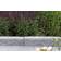 Boke Kantsten 9073389 500x200x70mm