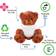 SinMan Sorry Forgive ME Apology Gift Cute and Cuddly Romantic Funny Teddy Bear Couple Gift Medium Soft Teddy Bear Stuffed Animal