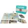 Z-Man Games Pandemic 10th Anniversary Edition