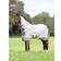 LeMieux Arika Sunstopper Sheet Rug - Stone