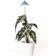 VENSO EcoSolutions LED-Plantlampa för Odling SUNLiTE 7 W Petrol 230 V