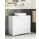 Vasagle Under Sink Bathroom Cabinet BBK504W01