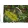 Faura Reversible Camouflage Rectangular Shade Sail 3 x 4 m
