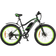 Kayoba Electric Fat Bike 26" 11.6 Ah Damcykel