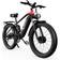 DUOTTS DUOTTS F26 Electric Bike 48V 17.5Ah Unisex