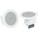 Bose Professional FreeSpace 3-II Flush Mt Sat.B