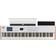 Arturia Keylab 88 MK3 Controller