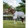 Horseware Flugtäcke Rambo Protector - Silver/Grå