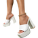 Shein Women Minimalist Platform Chunky Heeled Mule Sandals, Elegant Summer