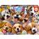 Educa Doggy Selfie 1000-Piece Puzzle