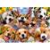 Educa Doggy Selfie 1000-Piece Puzzle