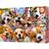 Educa Doggy Selfie 1000-Piece Puzzle