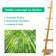 Cwy 5-Lags Stigehylde Lavet Af Bambus 43 x 35 x 165 cm Hylde
