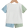 Shein Baby Boy Colour Block Tee Shorts