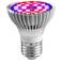 LED Växtglödlampa 30 W E27 40 st