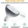 LED Växtglödlampa 30 W E27 40 st