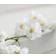 Dunelm Cherry Blossom Garland White Artificial Plant