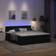 vidaXL Ottoman Bed Met Matrassen En LED's 200x200 cm Fluweel Zwart