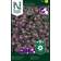 Nelson Garden Fröer Strandkrassing Violett