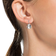 Swarovski SS Bella Pierced Earrings - Silver/Transparent