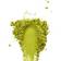 Renée Voltaire Matcha Smoothie Grade Ekologisk 100g 1pakk