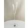 Orrefors Optica Symphony Snaps Glas Design Gunnar Cyren Champagneglas