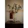 Eadl Jason Large Gold/Transparent Vas 34cm