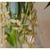 Eadl Jason Large Gold/Transparent Vas 34cm