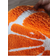 Shein pc xcm xinch Fruit Pattern Mat Soft Orange 40x60cm