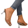 Shein Women'S Fashion High Heel Sandals Translucent Crystal Heeled Sandals, Square Toe, Clear Straps, Outdoor Comfortable And Trendy High Heels