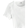 Shein Young Girl pcsSet Casual Solid Short Sleeve TShirt And Ditsy Floral Shorts Summer