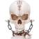 Nemesis Now Reckoning Skull Ornament i Resin Prydnadsfigur