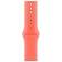 Apple Watch 46 mm Sportband Mandarin S/M