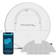 Rowenta X-Plorer Serie 130 AI Animal & Allergy Robot Aspirapolvere Lavapavimenti Alto 8 cm