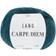 Lang Yarns Carpe Diem 50 g