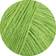 Lana Grossa Summer Cashmere 14 Forårsgrøn 50 gram