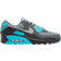 Nike Air Max 90 Cool Grey Dusty Cactus - Black
